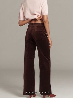 Anthropologie COLETTE Full-Length Wide-Leg Velvet Pants Maeve NEW Size 27 Brown
